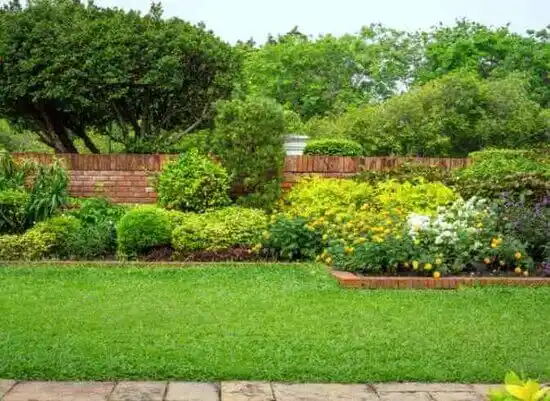 landscaping services Carrizozo